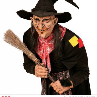 Halloween Halloween masker heks en butler