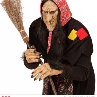Halloween Masker heks met haren
