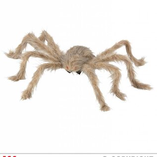 Halloween Harige spin van maar liefst 75cm