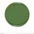 Nieuw2015-2016 Groene schmink voor carnaval