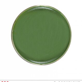 Nieuw2015-2016 Groene schmink 25 gram in een doosje voor carnaval