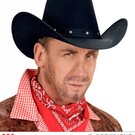 Nieuw2015-2016 Cowboyhoed met studs