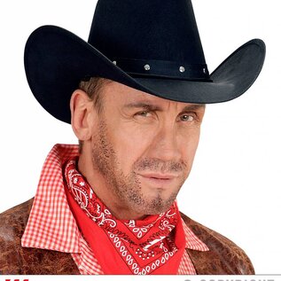 Nieuw2015-2016 Luxe cowboyhoed zwart met studs