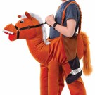 Paard pak Ponny