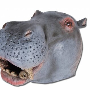 Nijlpaard masker voor volwassenen