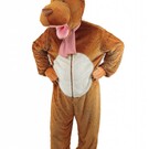 Rendier pak Rudolph