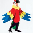 Papegaai pak Parrot