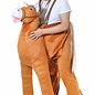 Leuk stap in kostuum paard