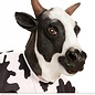 Pk  3 "COW FULL HEAD MASK"