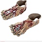 Pk  4 Pair of latex "ZOMBIE FEET"