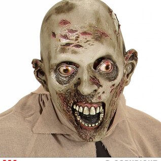 Pk  4 "LEPROUS ZOMBIE FULL HEAD MASK"