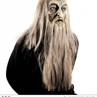 Pk  5 "MILLENARIAN MASK WITH WIG AND BEARD"