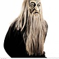 Pk  5 "MILLENARIAN MASK WITH WIG AND BEARD"