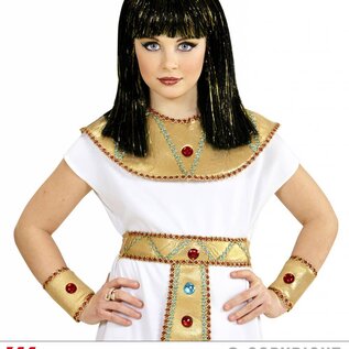 Pk  6 "CLEOPATRA WIG WITH TINSEL" in polybag