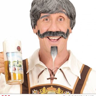 Pk  4  "BAVARIAN WIG WITH MOUSTACHE & GOATEE BEARD" in box