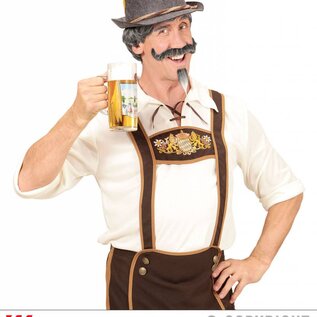 Pk  4  "BAVARIAN WIG WITH MOUSTACHE & GOATEE BEARD" in box