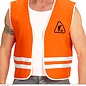 Pk  6 "CONSTRUCTOR" (vest)