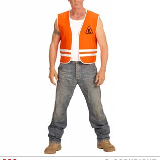 Pk  6 "CONSTRUCTOR" (vest)