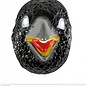 Pk 12 "PVC CROW MASK" adult size