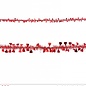 Pk 12 "ST. VALENTINE'S DAY TINSEL GARLAND" 2 m