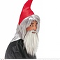 Pk  6 "GNOME" (hat & beard)