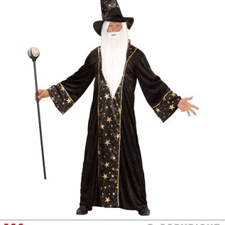 "FANTASY WIZARD" (robe, hat)