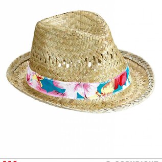 "BEACH BOYS STRAW FEDORA"