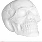 Pk  4 Sound sensor activated "SKULL WITH COLOR CHANGING KALEIDOSCOPE LIGHTS & EERIE SOUNDS" 32 cm - with "TRY ME" function