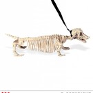 Pk  4 "DACHSHUND SKELETON WITH LEASH" 55 cm
