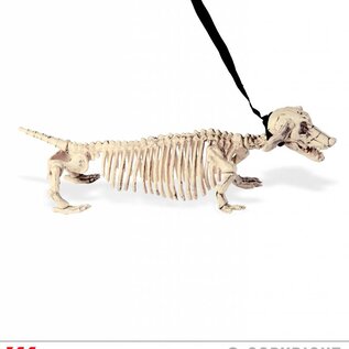 Pk  4 "DACHSHUND SKELETON WITH LEASH" 55 cm