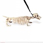 Pk  4 "DACHSHUND SKELETON WITH LEASH" 55 cm