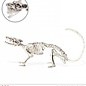 Pk  6 Bendable "RAT SKELETON" 38 cm