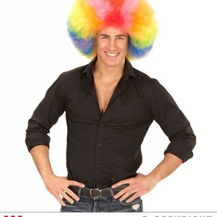 Pk  6 Top quality "MULTICOLOR OVERSIZED AFRO WIG" in polybag