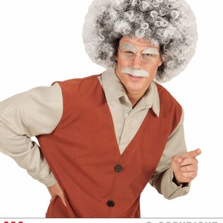 Pk  4 "OLD MAN / MAD SCIENTIST WIG" in polybag