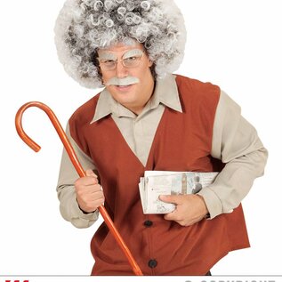 Pk  4 "OLD MAN / MAD SCIENTIST WIG" in polybag
