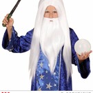 Pk  4 "WIZARD WIG WITH BEARD" in box