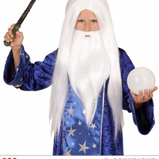 Pk  4 "WIZARD WIG WITH BEARD" in box