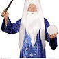 Pk  4 "WIZARD WIG WITH BEARD" in box