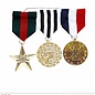 Pk 12 Set of 3 "MEDALS OF HONOR"