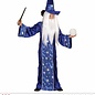 "FANTASY WIZARD" (robe, hat)