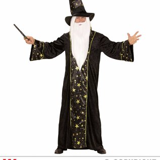 "FANTASY WIZARD" (robe, hat)