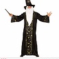 "FANTASY WIZARD" (robe, hat)