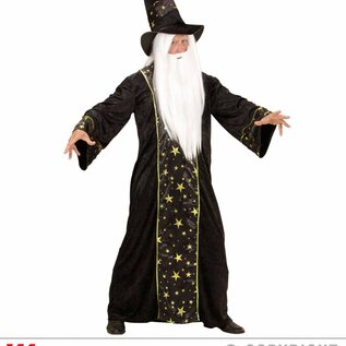 "FANTASY WIZARD" (robe, hat)