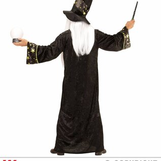 "FANTASY WIZARD" (robe, hat)