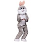 Konijnenpak mascotte