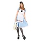 Alice in Speelkaarten sprookjesland jurk