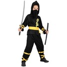 Dragon Ninja (11-13)