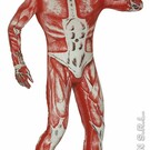 Carnavalspak Anatomische man