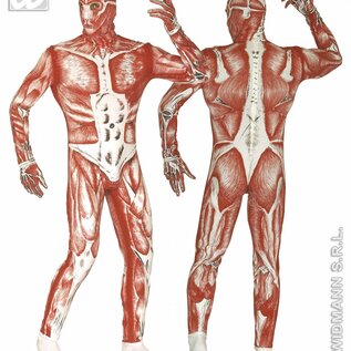 Carnavalspak Anatomische man