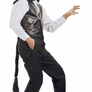 Carnavals-accessoires: poezen-set met masker en staart